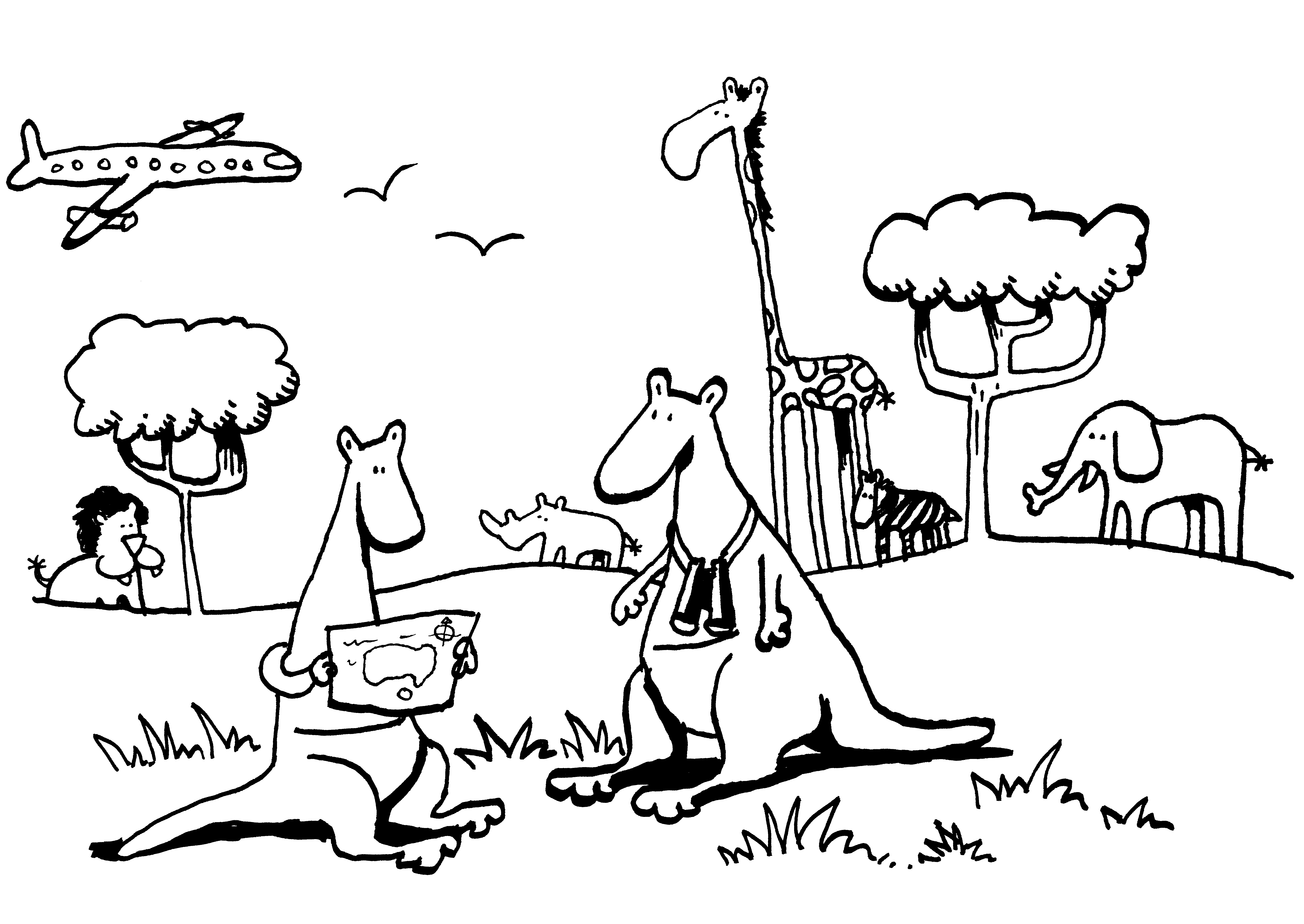 wallaby coloring pages - photo #8
